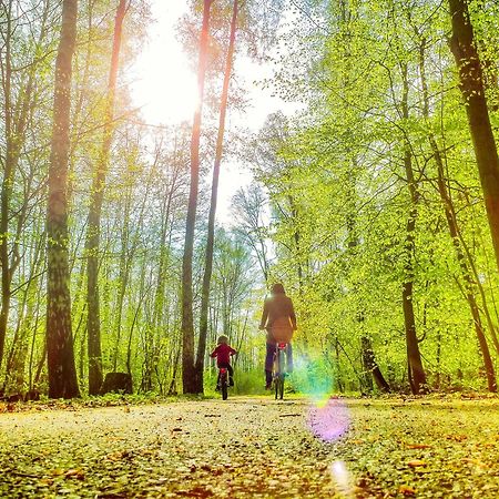 Bungis - 28 Ferienhaeuser Am Grimnitzsee G4 Йоахімсталь Екстер'єр фото